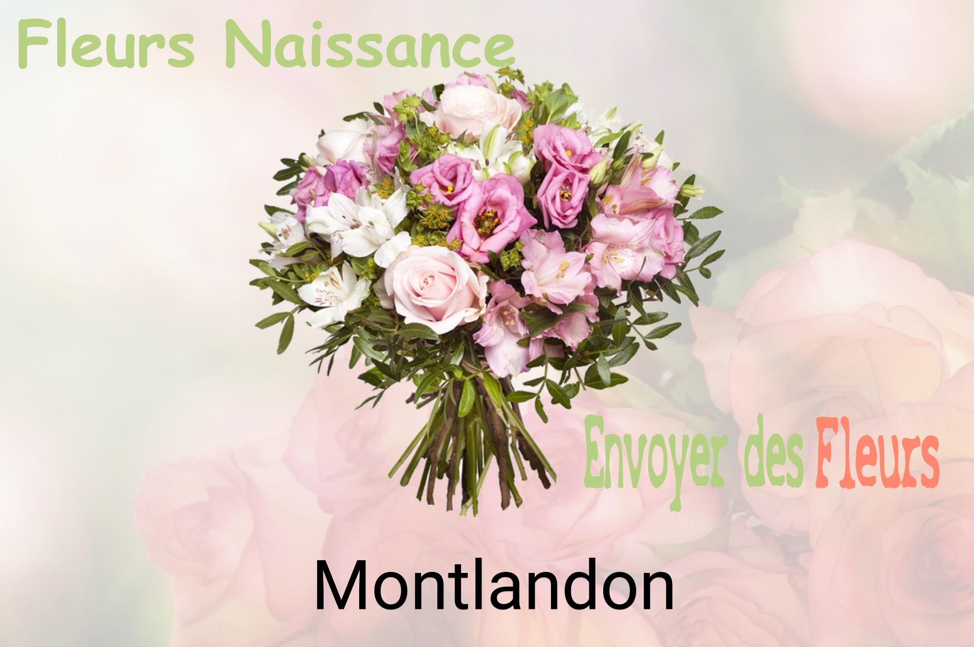 Bouquet de fleurs de naissance livré à Montlandon